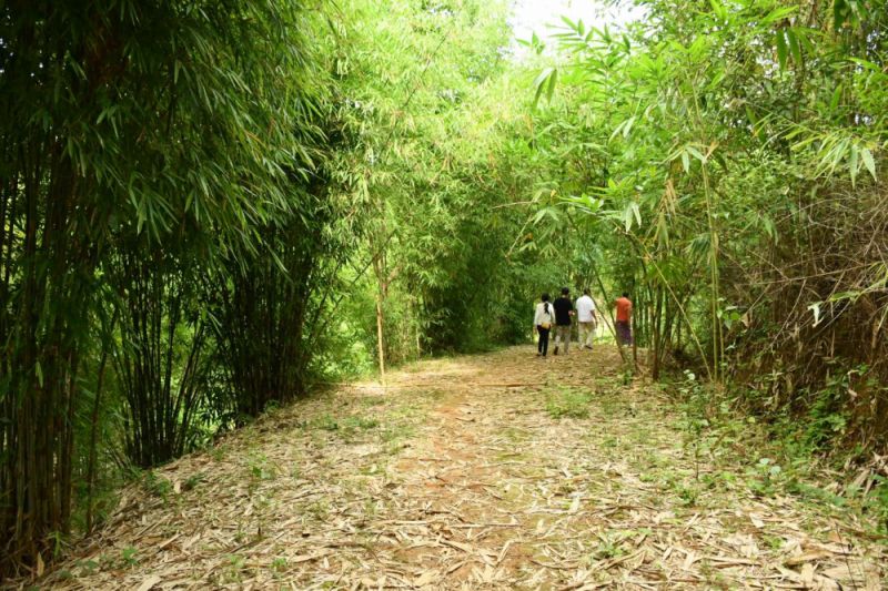 Bamboo｜Grant Assistance for Japanese NGO Projects, FY2023