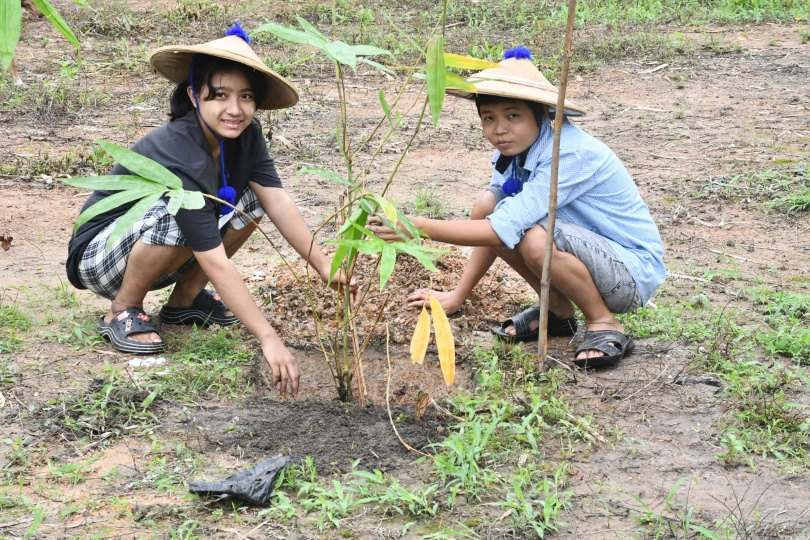 ミャンマーの森づくり、今年も新たなステップへ