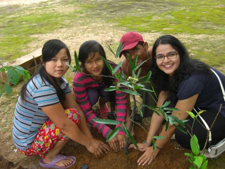 植林｜アジアクラフトリンクのミャンマーの森づくりプロジェクト